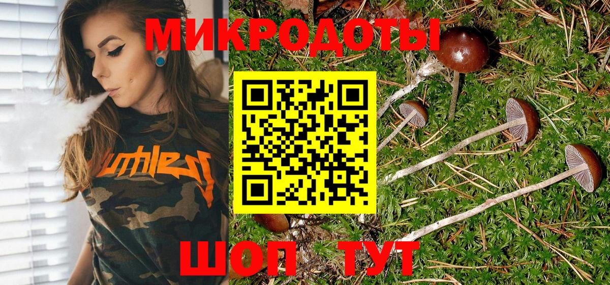 Псилоцибиновые грибы Magic Shrooms  Вход с VPN  Коряжма 