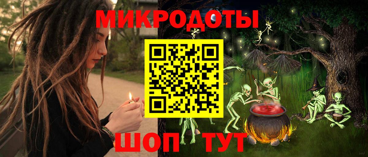 Псилоцибиновые грибы Psilocybe Коряжма