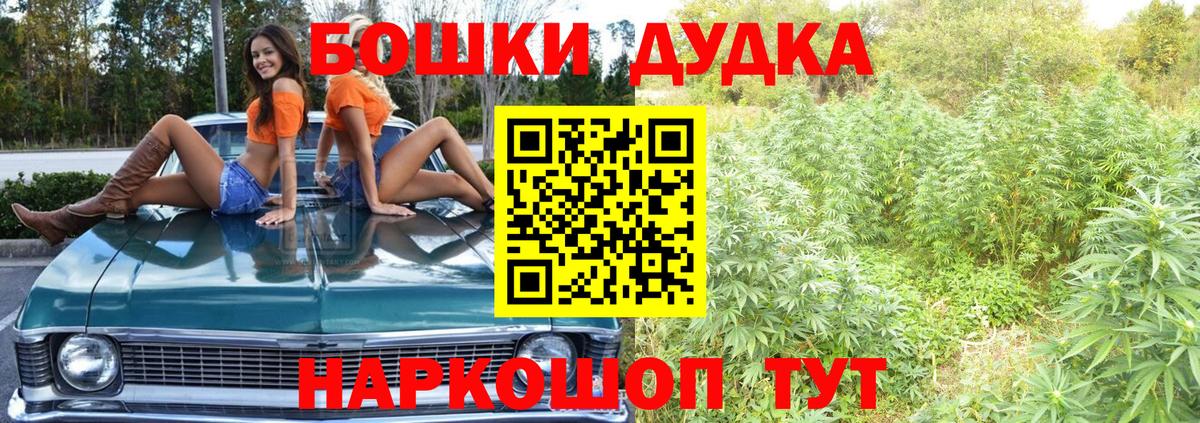 Конопля семена  Конопля семена  Вход с VPN  Бошки марихуана сатива  Коряжма 